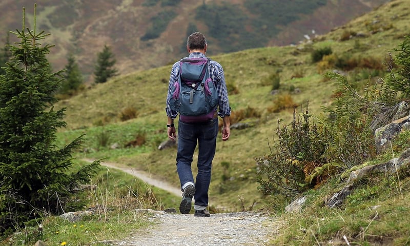 Wilderness Guide