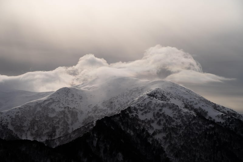 Wilderness Landscape
